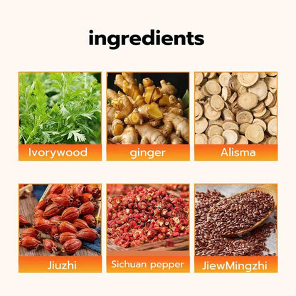 Hanpo Japanese Herbal Patch (kane)